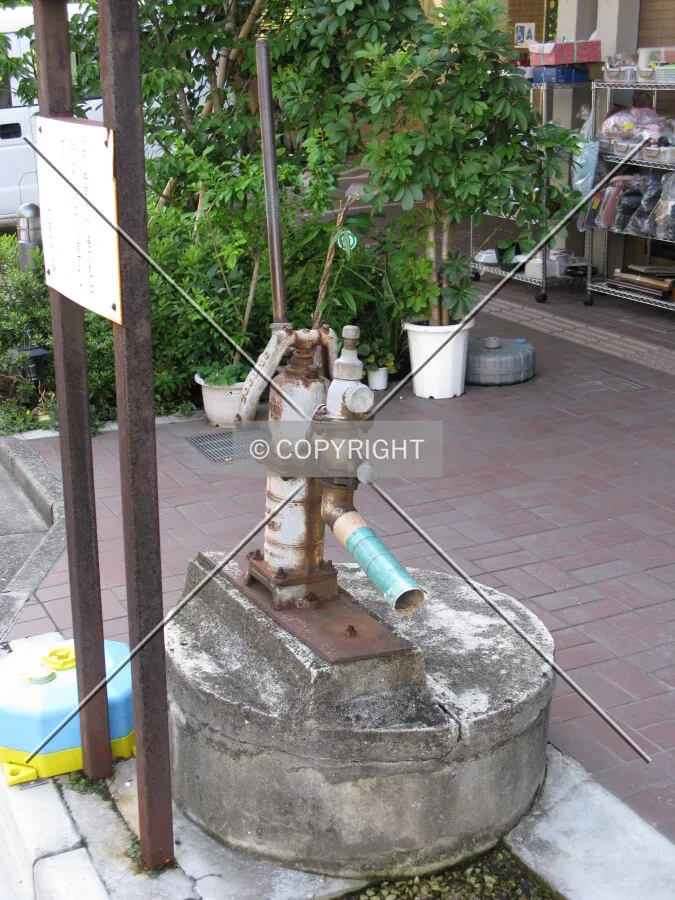 Photo 944-906-983