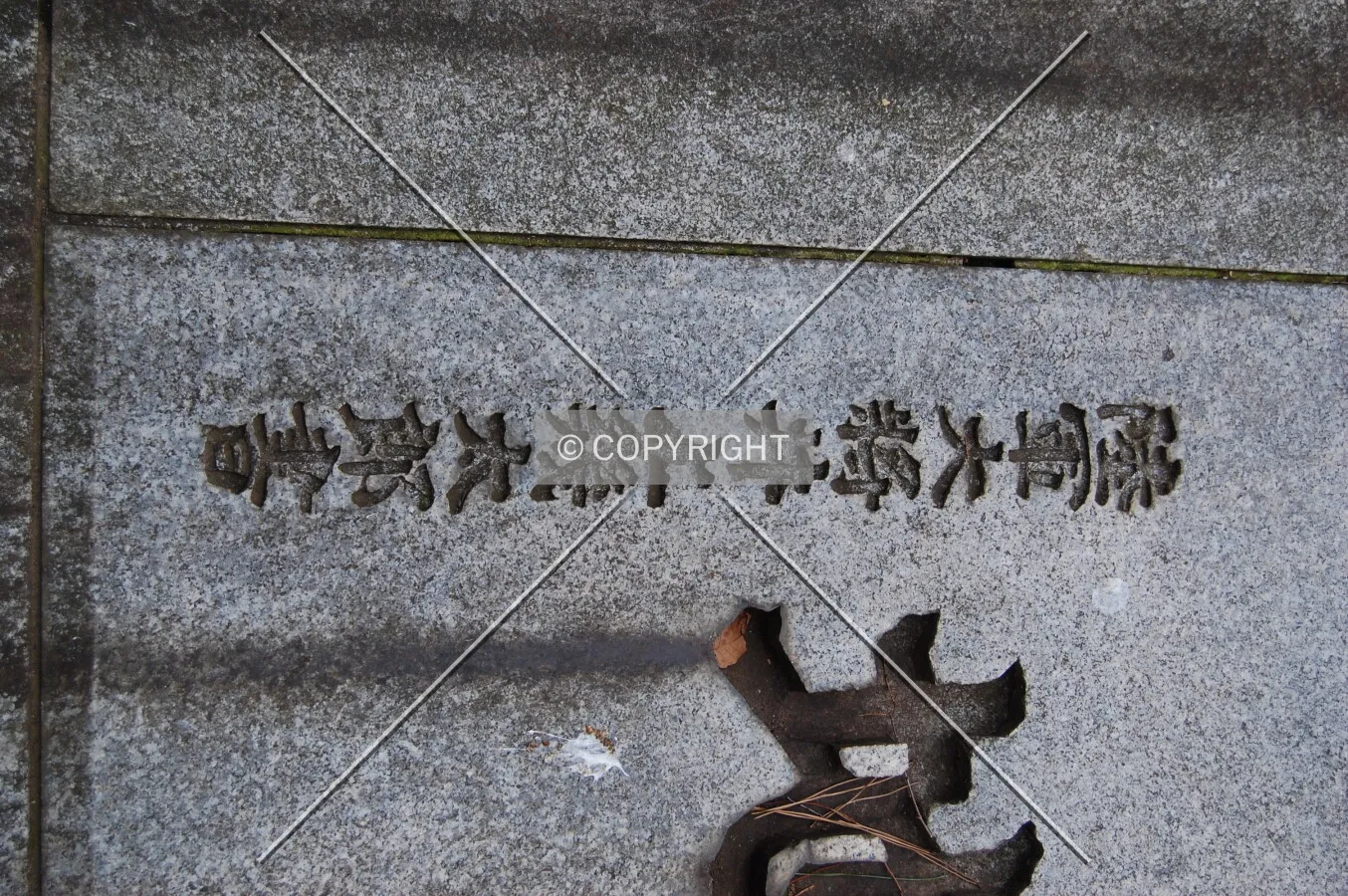 Photo 945-644-207