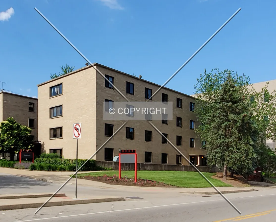 Northeast view; June 6, 2020