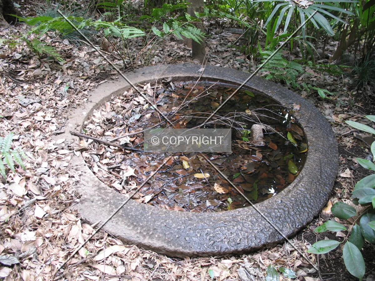 Photo 094-615-377