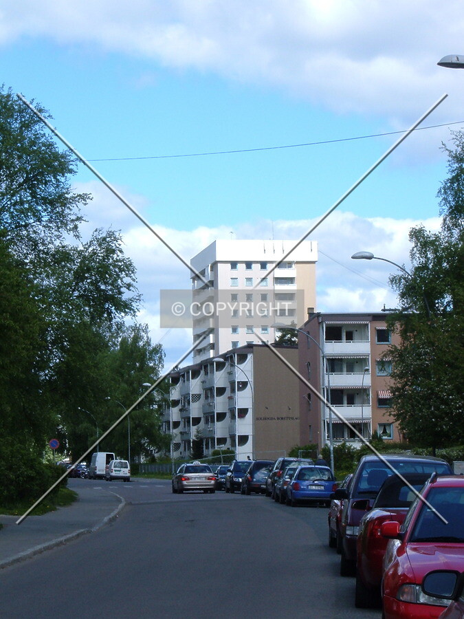 View from the south