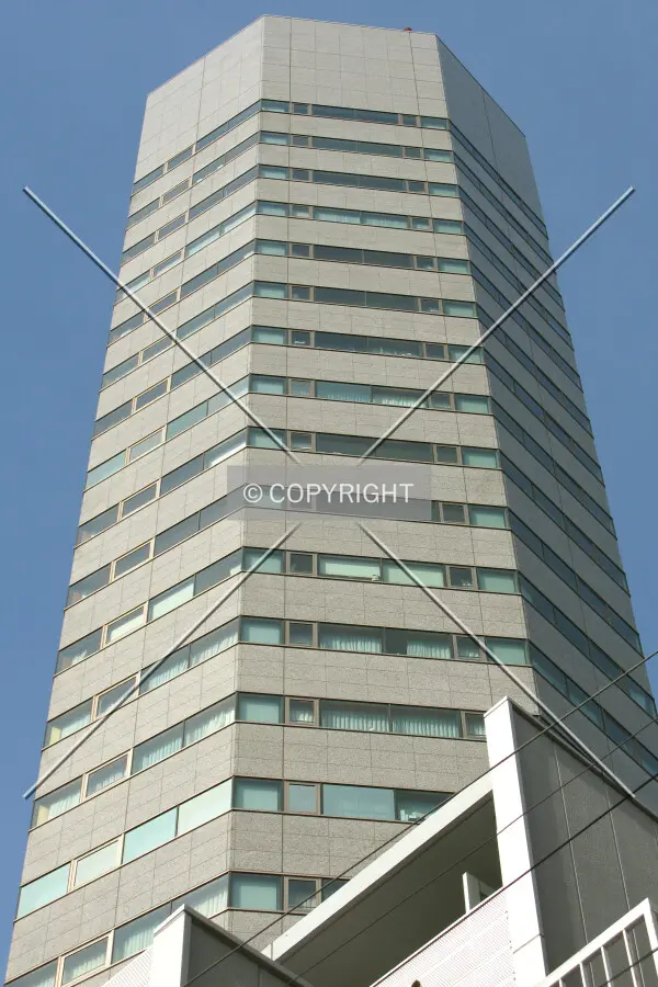 Looking up from the southwest