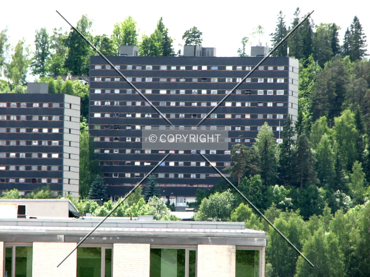 View from the east