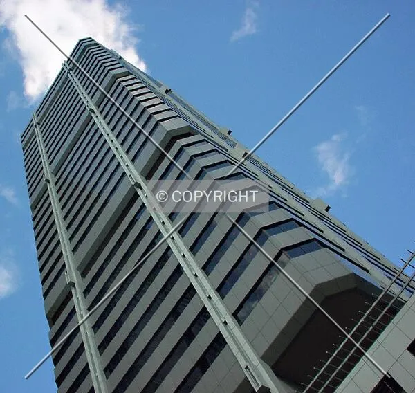 View to the top