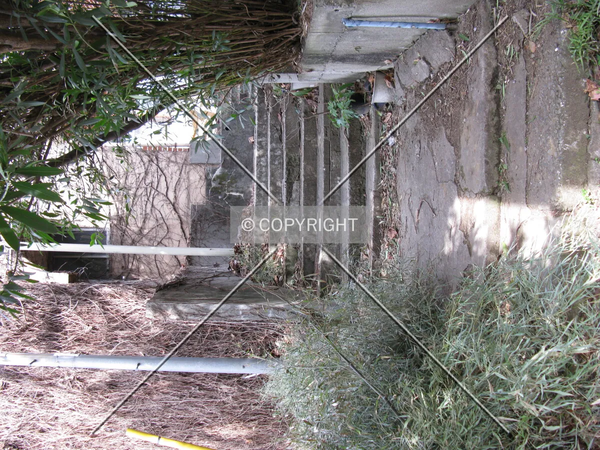 Photo 094-755-285