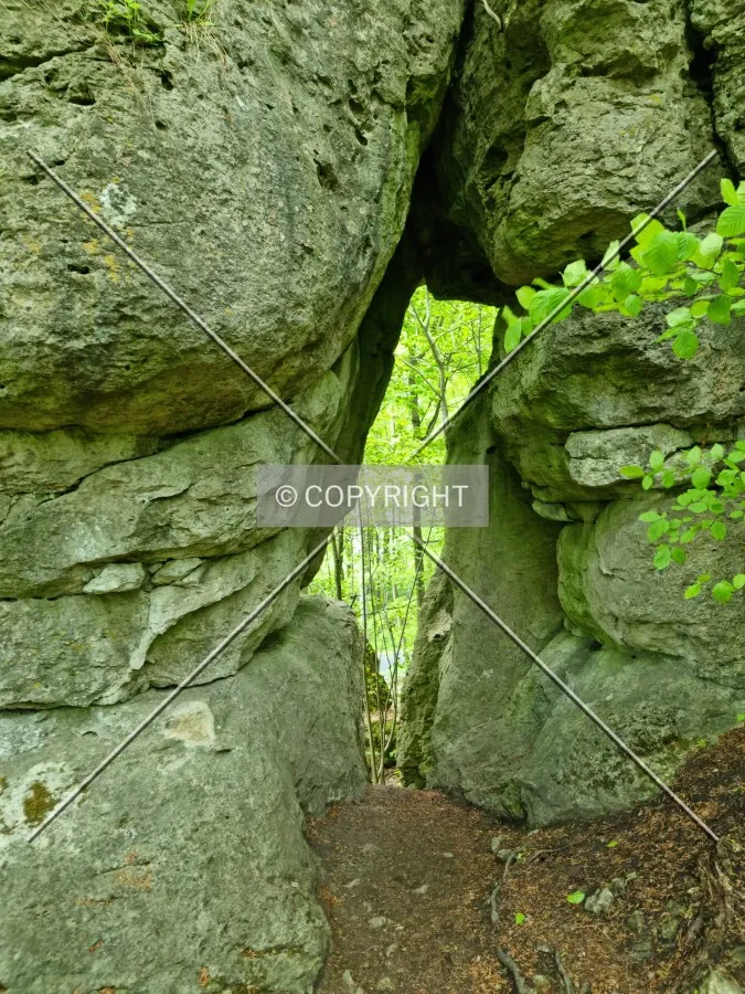 Photo 947-788-647