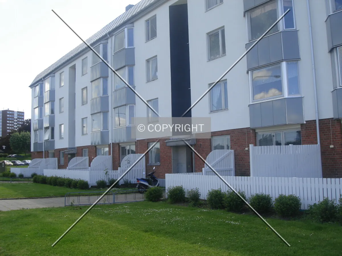 Photo 947-919-255