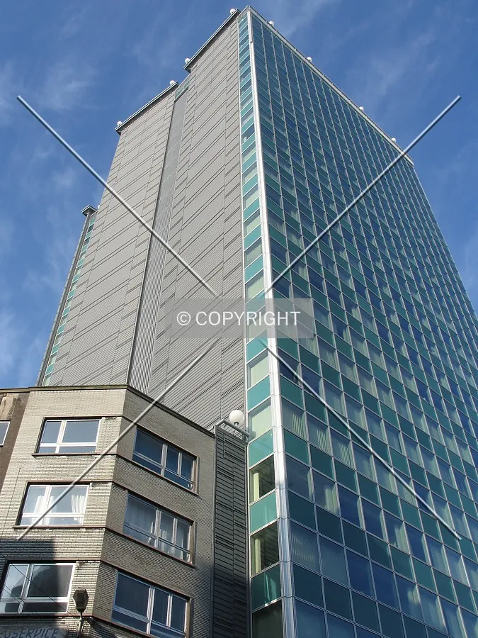 Looking up from the southeast
