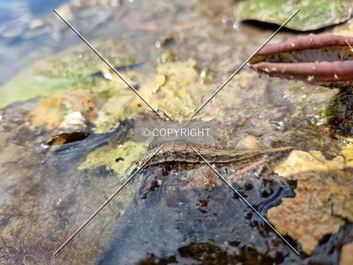 Photo 948-573-792
