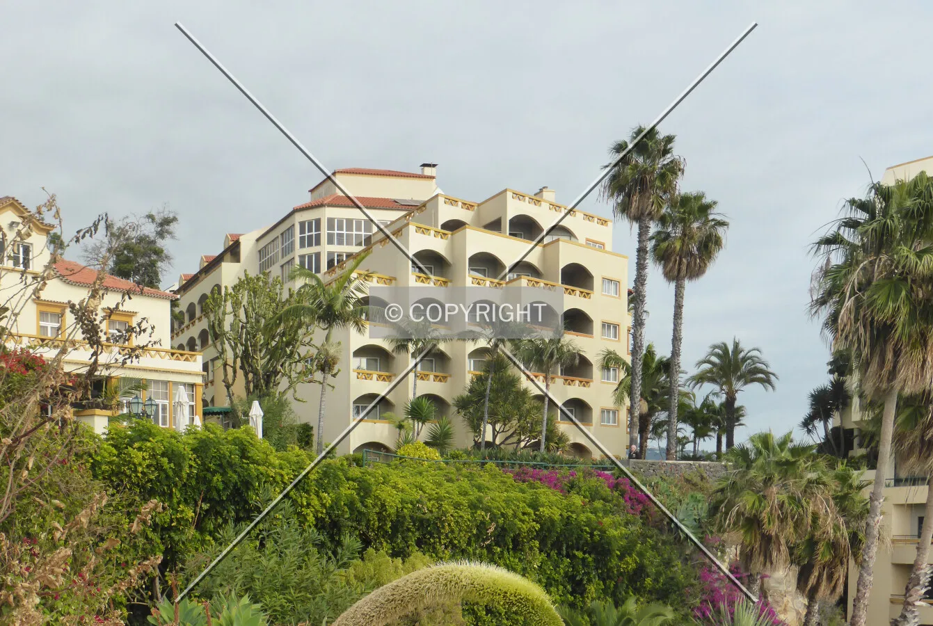 Photo 094-878-957