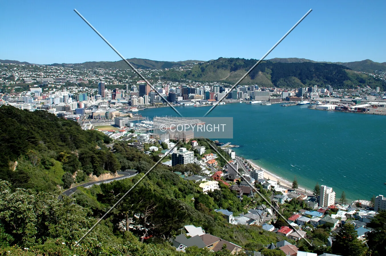 View from Mount Victoria