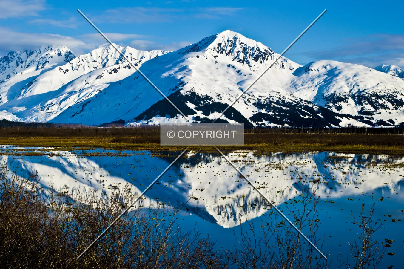 Kenai Mountains, Alaska, U.S.A.