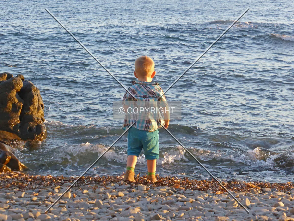 Photo 949-541-184
