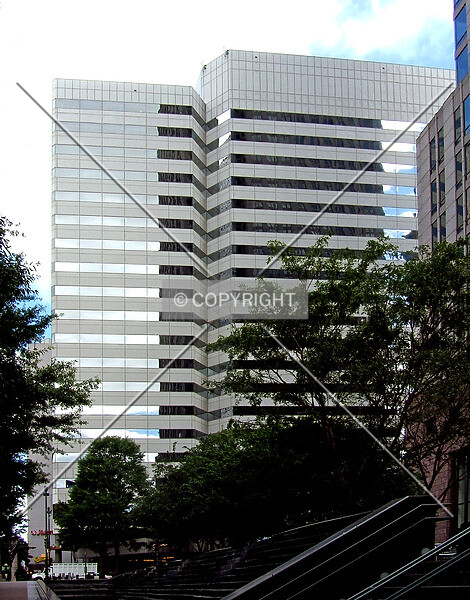 Photo 950-155-211