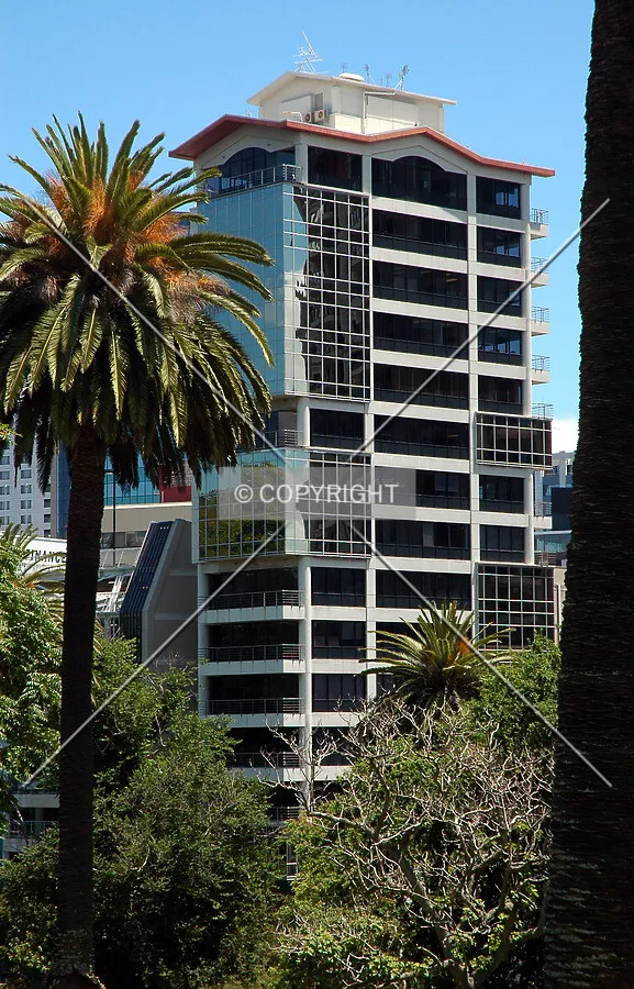 View from Albert Park