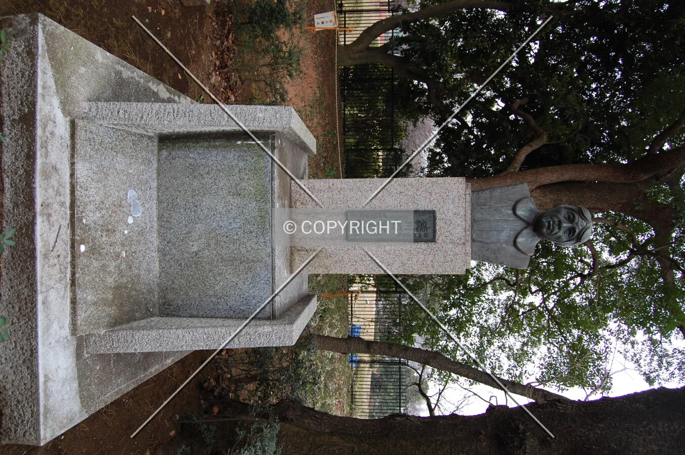 Photo 950-487-459