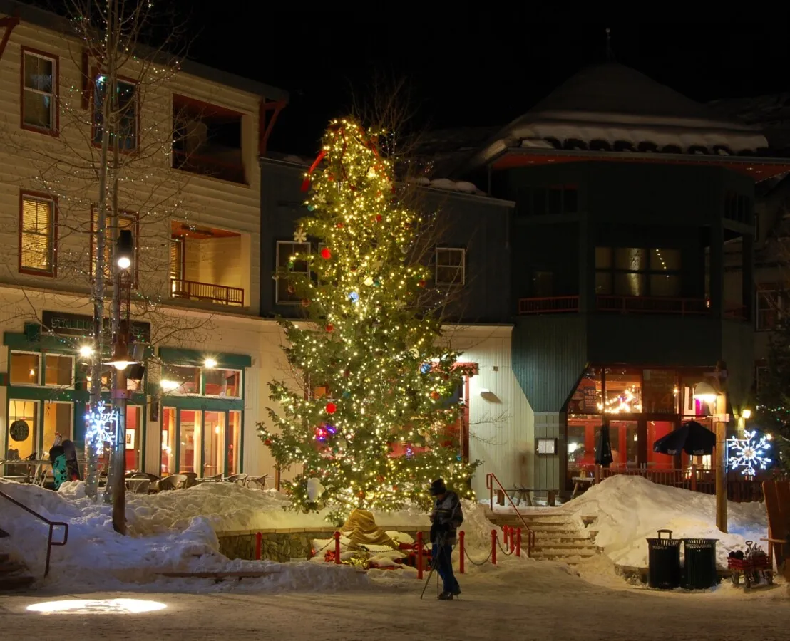 Tree lit up for Christmas