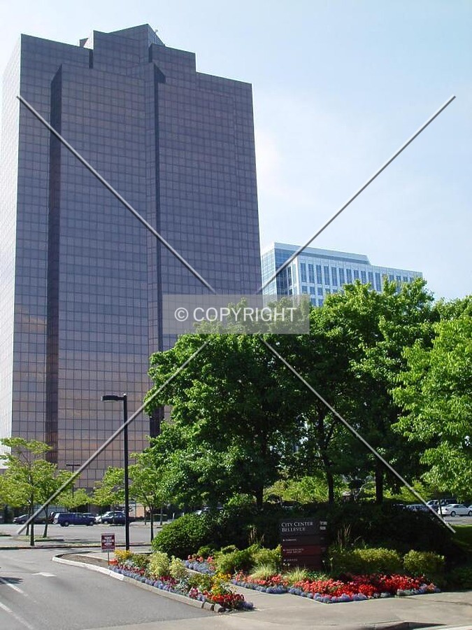 View from street level