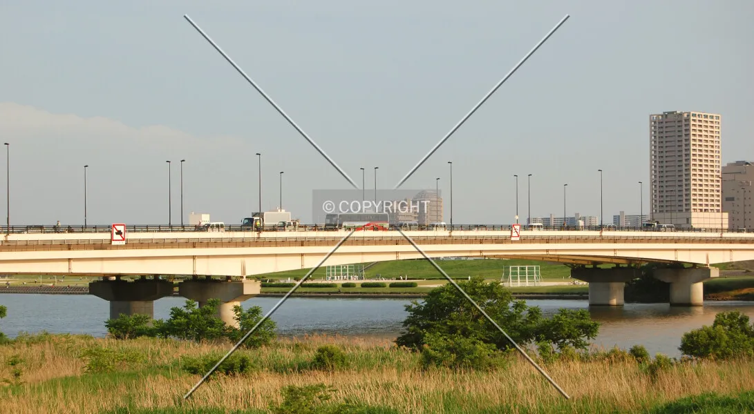Photo 950-702-434