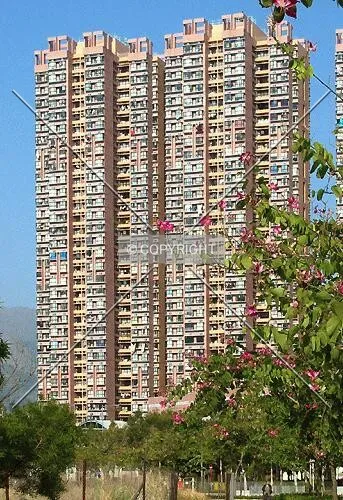 From Tsing King Road