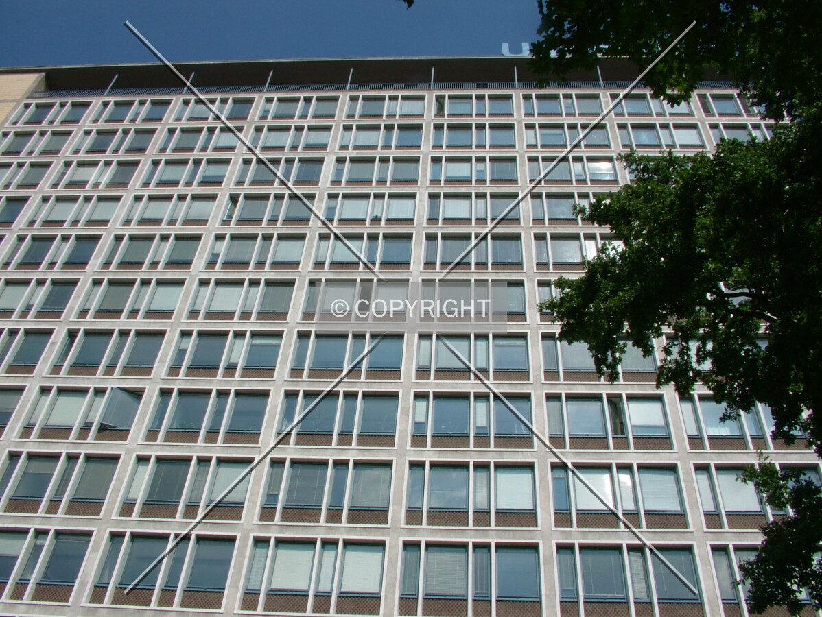 Looking up from the front lawn