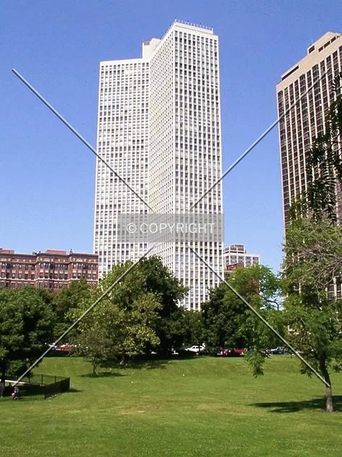 View from the east