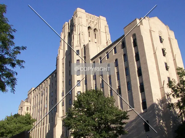 Back side from Dorchester Avenue