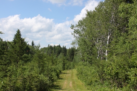 Riding Mountain National Park