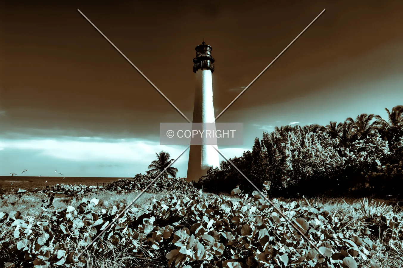 Cape Florida Lighthouse, Key Biscayne, Florida, U.S.A.