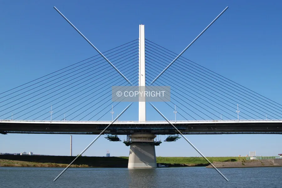 Photo 009-528-169