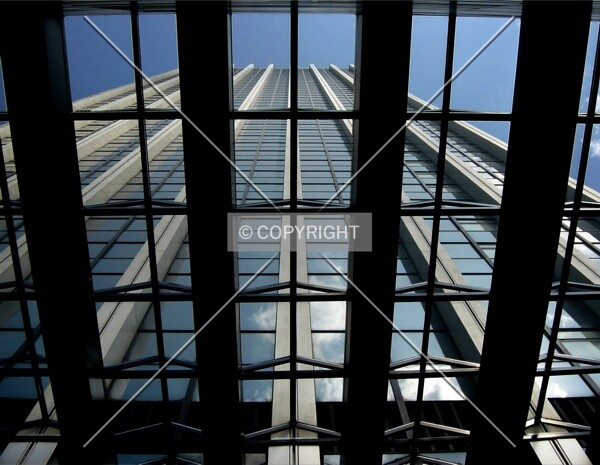 Looking up through the skylight