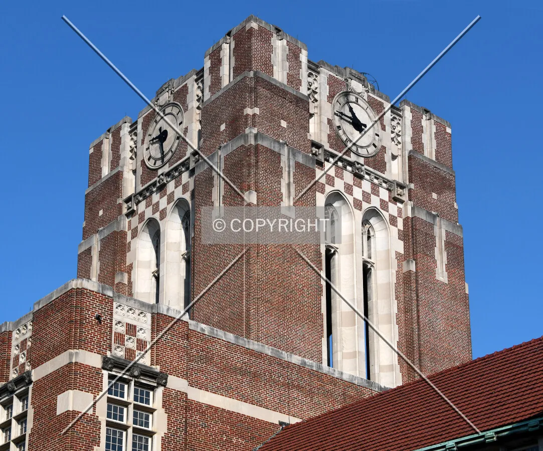View from the east
