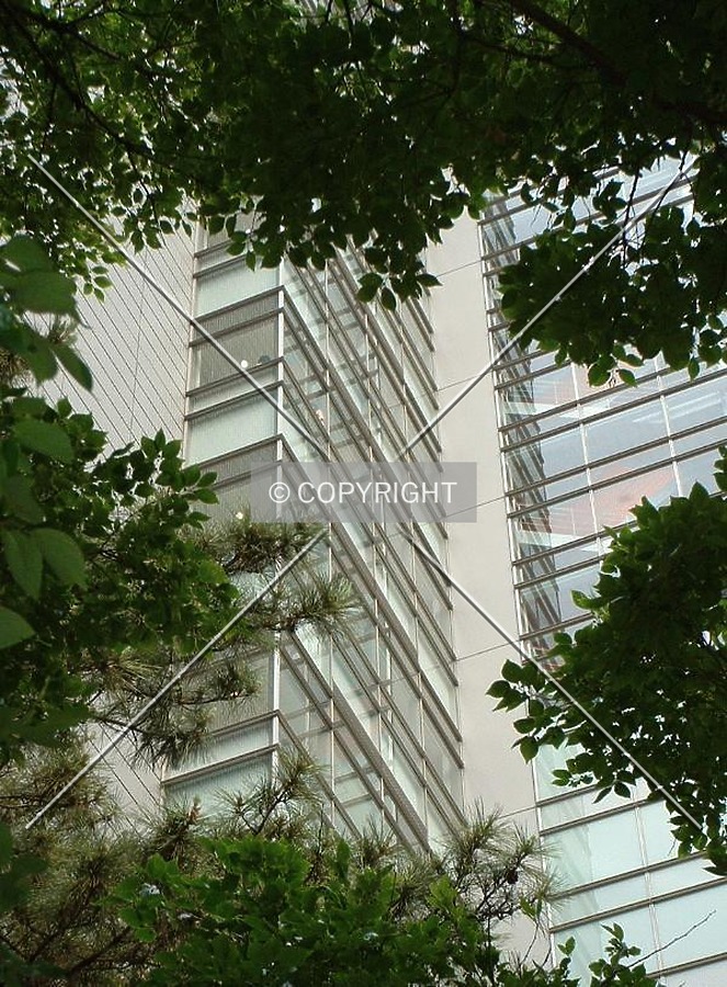Trees and tower