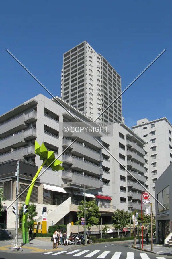 Looking up from the southwest