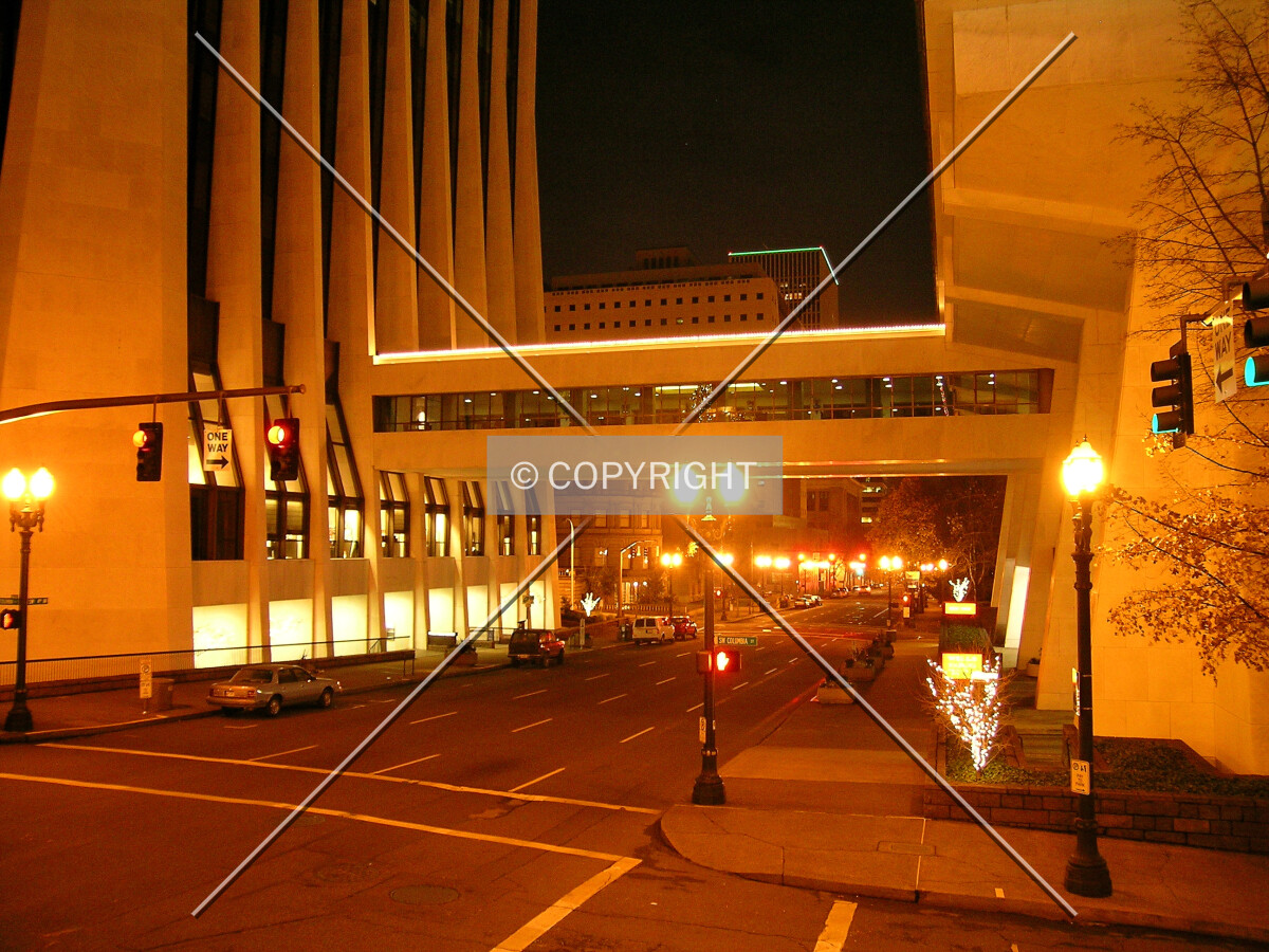 View of the skybridge at night