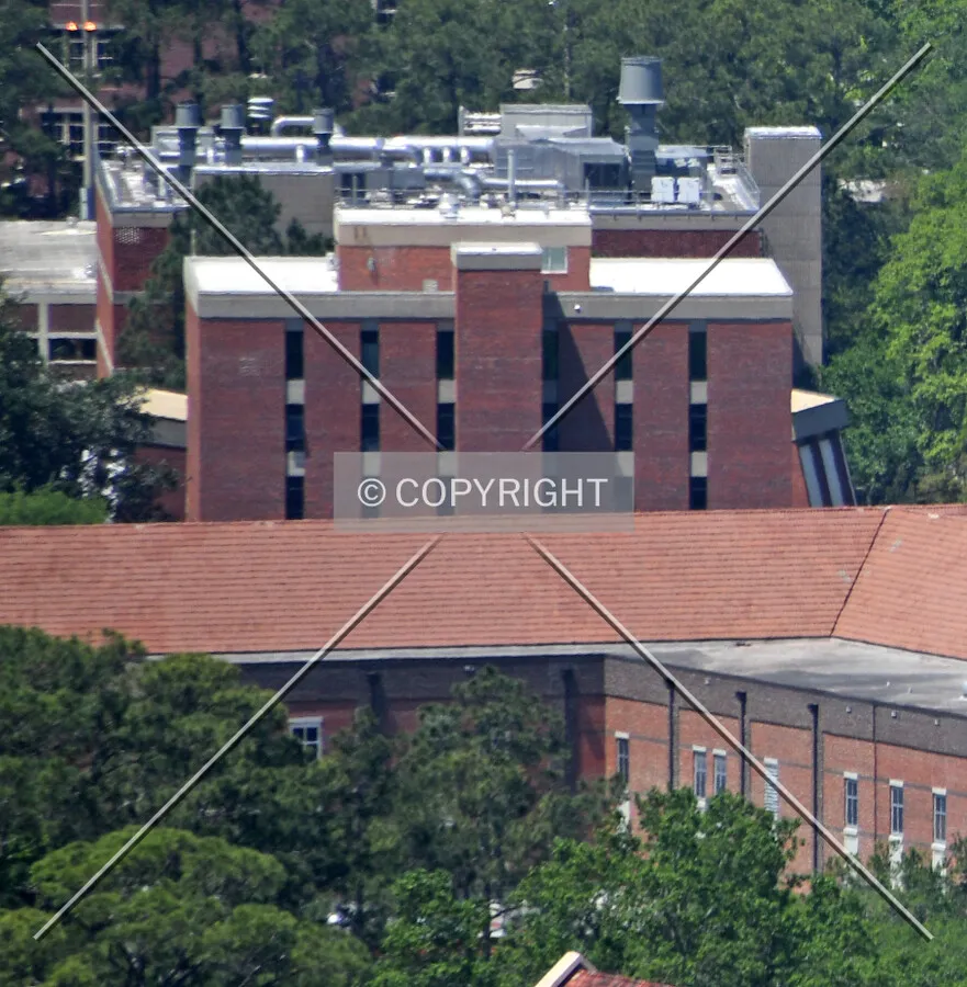 View from the southeast
