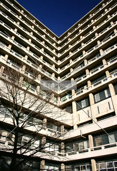 Photo 954-898-429