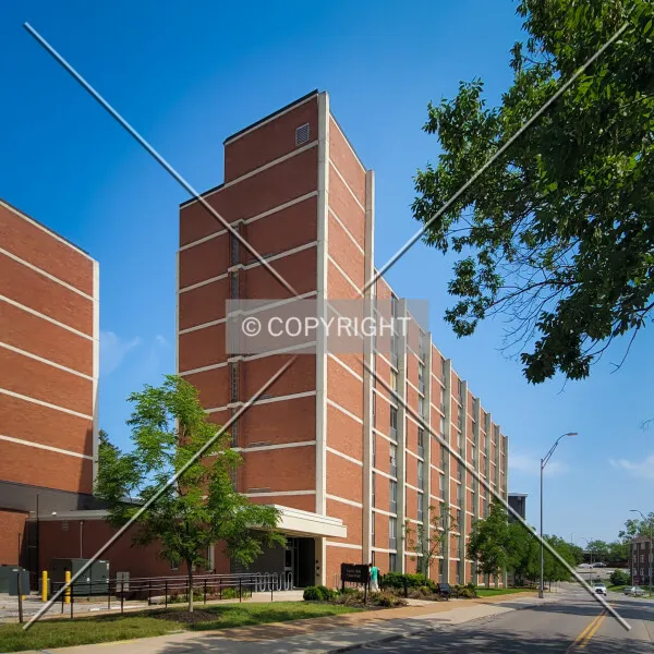 Lewis Hall