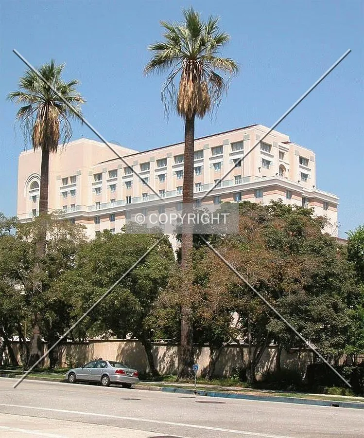 The hotel and some of Pasadena's palms