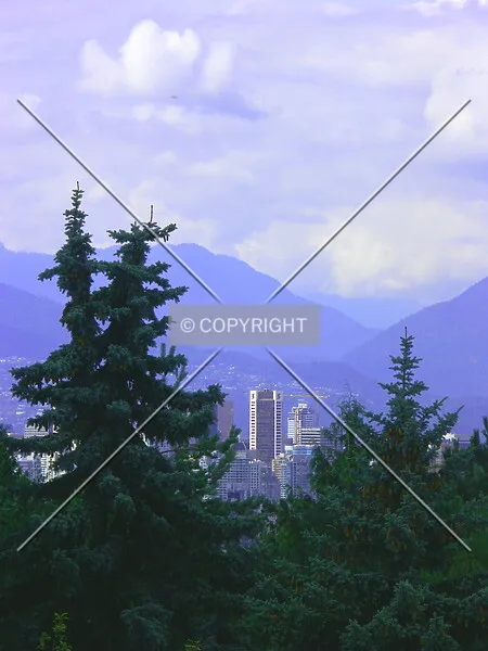 Photo 955-786-852