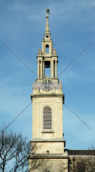 Photo 095-584-017