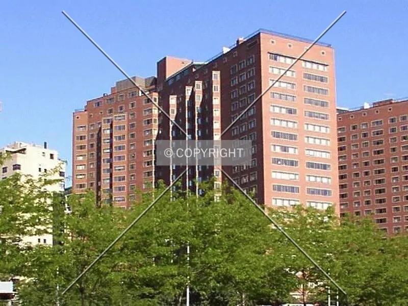 Photo 956-355-354