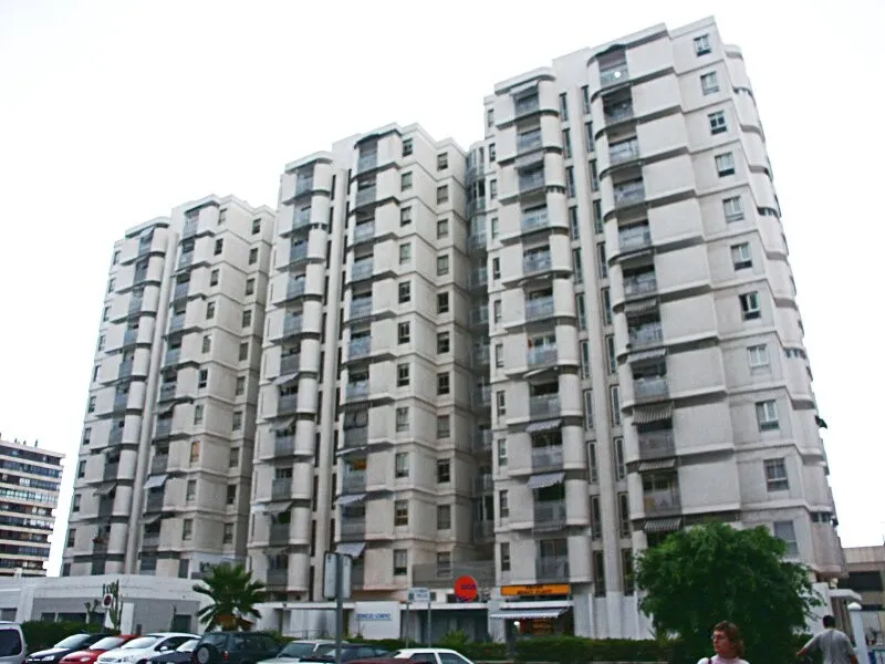 View of the rear