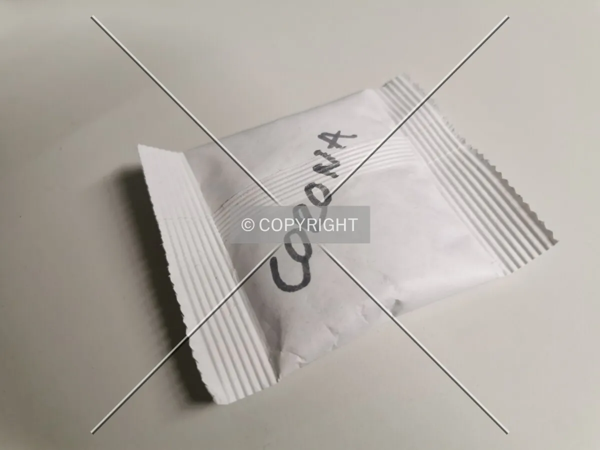 A pack of Corona