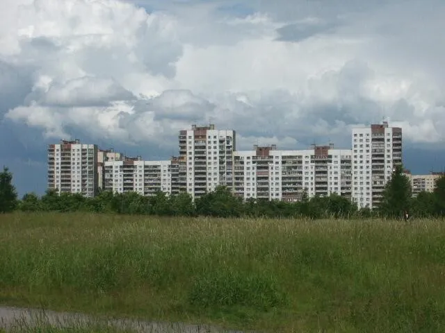 Distant view across the park