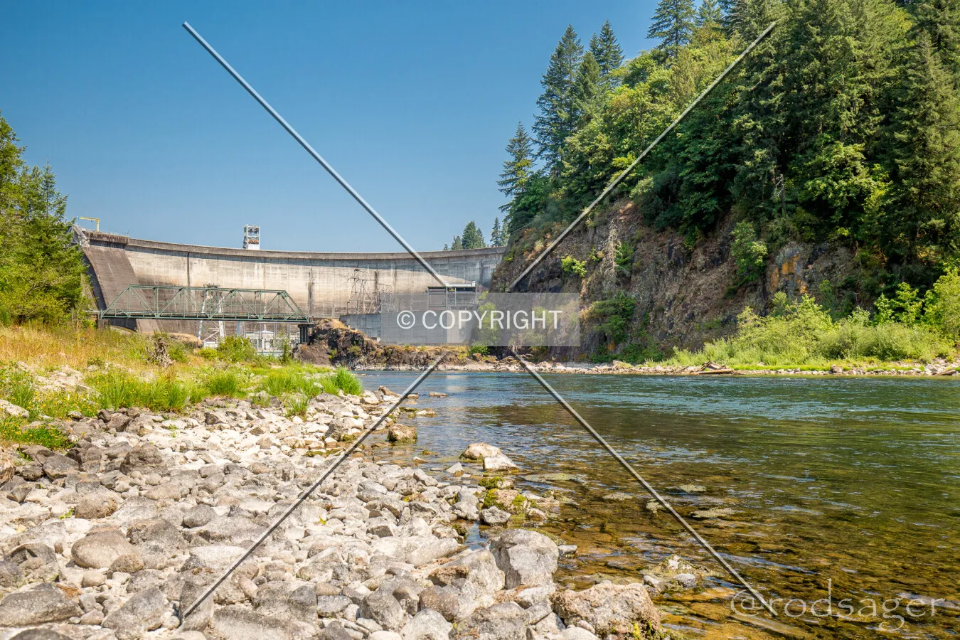 Photo 957-554-671