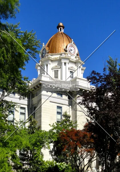 Photo 957-584-616