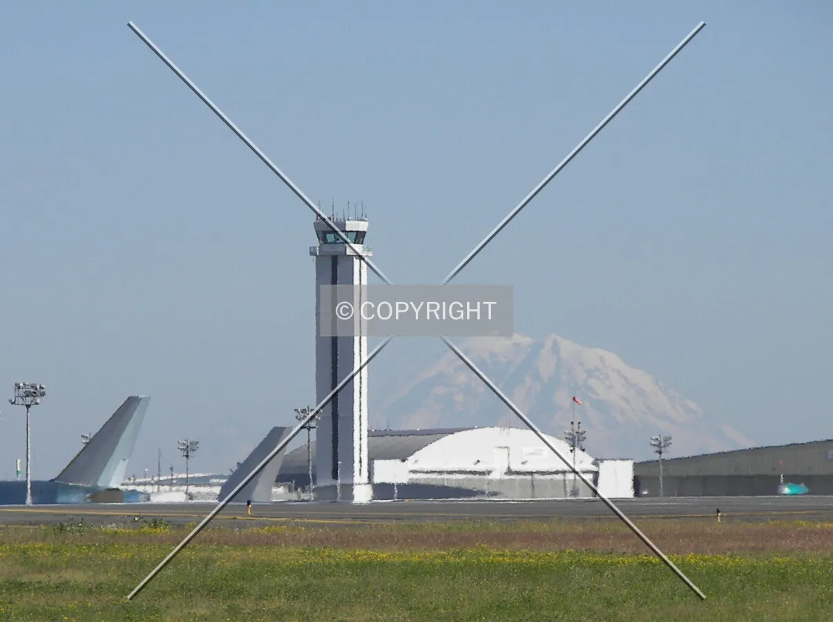 View from Paine Field Boulevard
