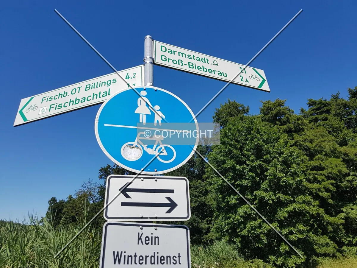 Photo 958-558-893