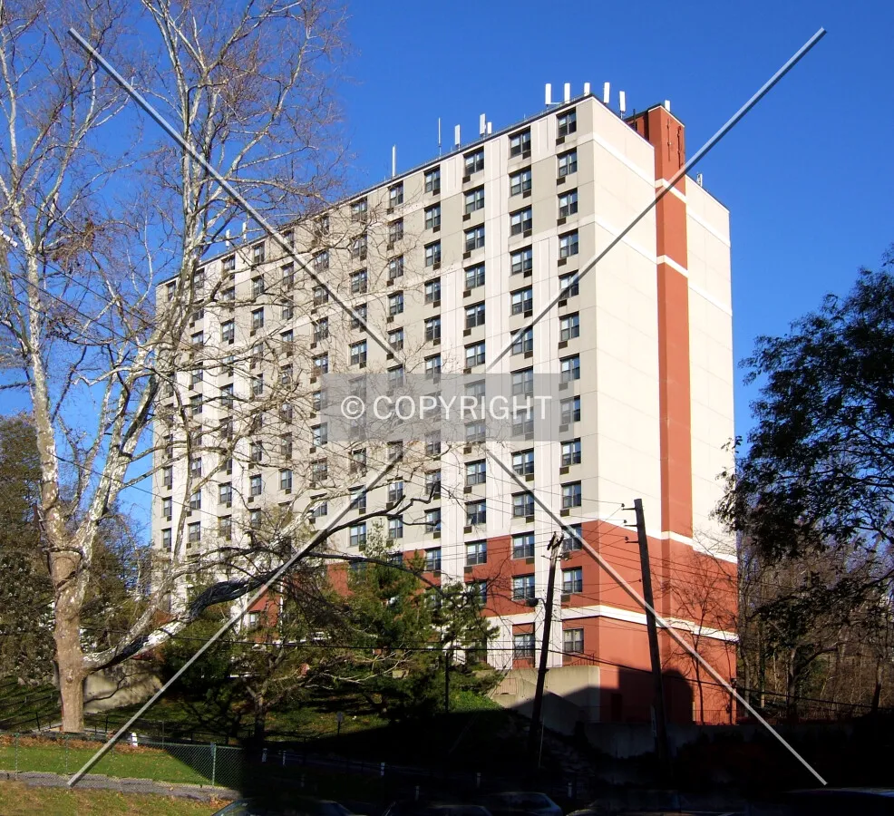 View from the southeast